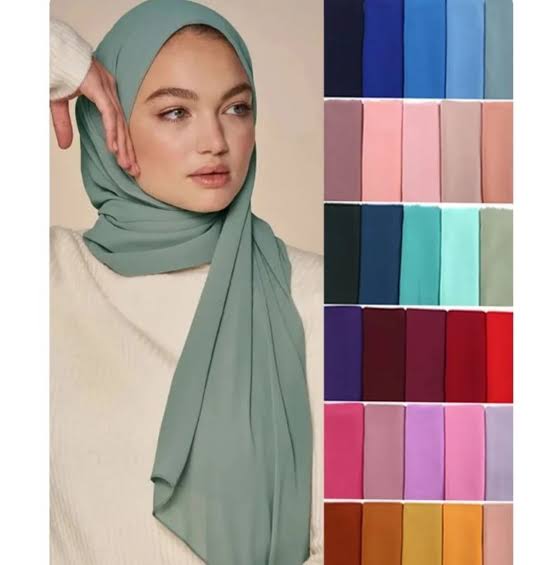 Premium georgette stoller for women